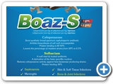 Boaz-S