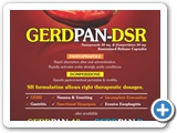 GERDPAN-DSR