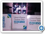 UBCEF-CV